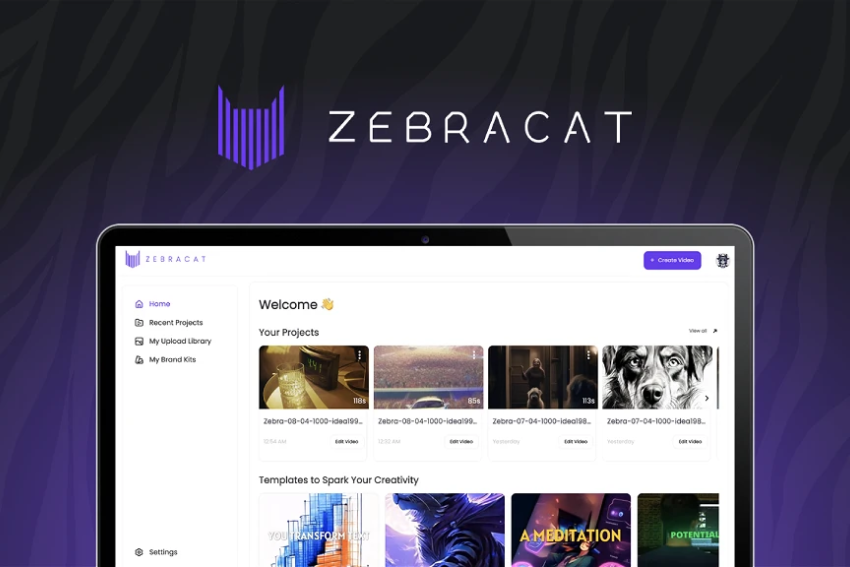 Zebracat Lifetime Deal